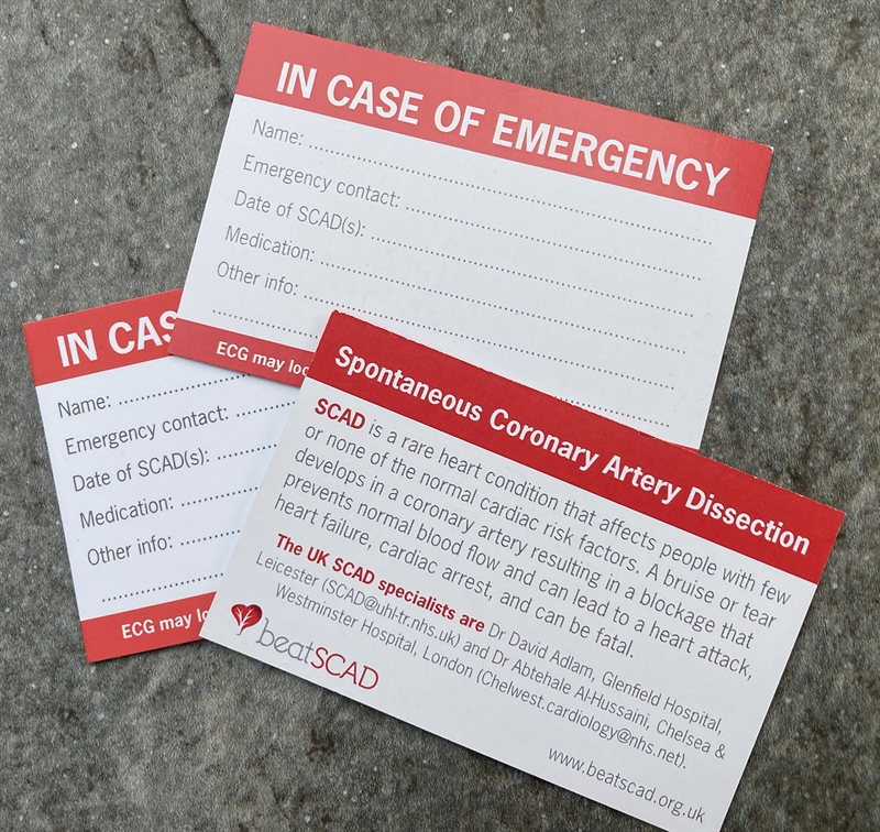 ICE cards