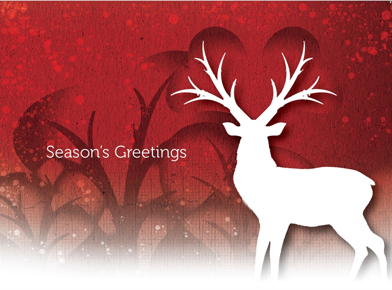 Deer Christmas card